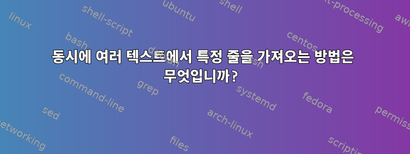 동시에 여러 텍스트에서 특정 줄을 가져오는 방법은 무엇입니까?