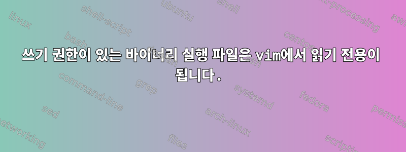 쓰기 권한이 있는 바이너리 실행 파일은 vim에서 읽기 전용이 됩니다.