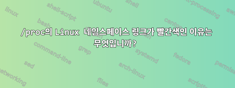 /proc의 Linux 네임스페이스 링크가 빨간색인 이유는 무엇입니까?