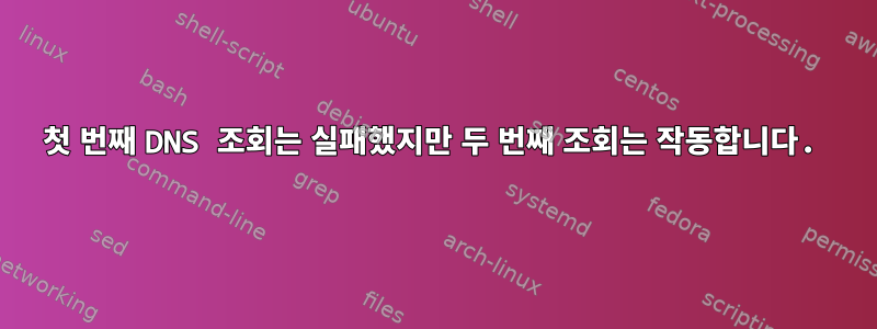 첫 번째 DNS 조회는 실패했지만 두 번째 조회는 작동합니다.