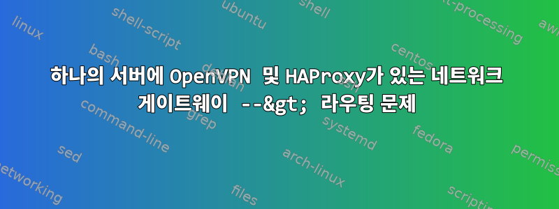 하나의 서버에 OpenVPN 및 HAProxy가 있는 네트워크 게이트웨이 --&gt; 라우팅 문제