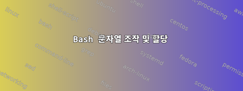 Bash 문자열 조작 및 할당