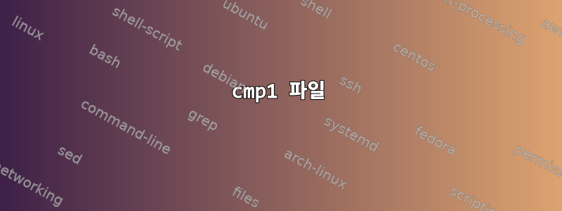 cmp1 파일