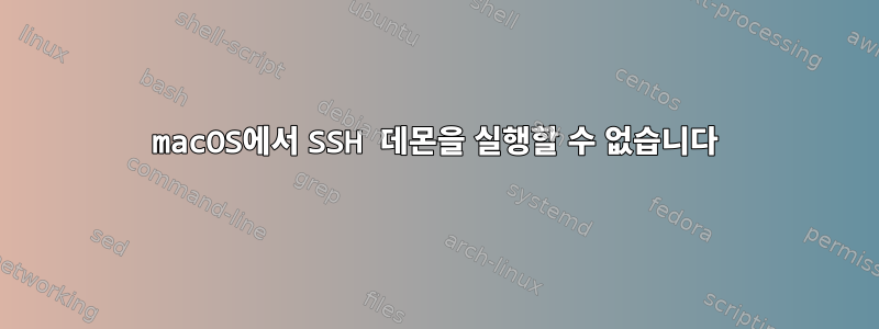 macOS에서 SSH 데몬을 실행할 수 없습니다