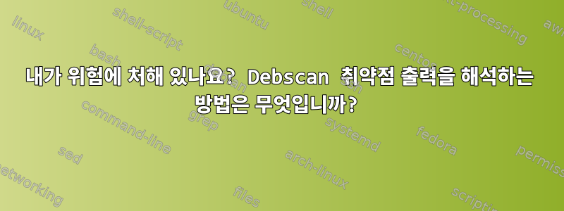 내가 위험에 처해 있나요? Debscan 취약점 출력을 해석하는 방법은 무엇입니까?