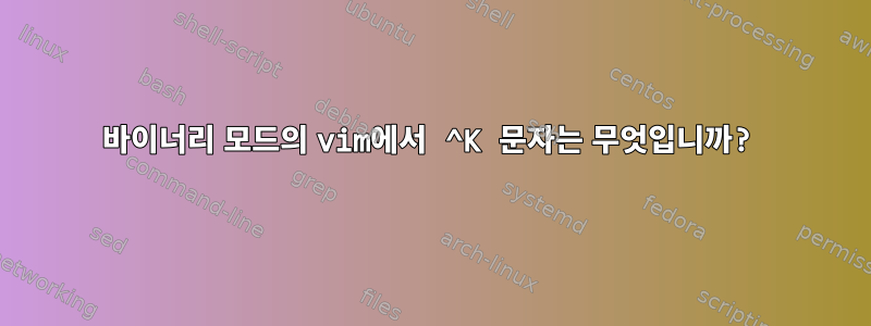 바이너리 모드의 vim에서 ^K 문자는 무엇입니까?