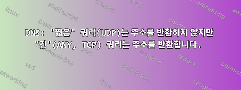 DNS: "짧은" 쿼리(UDP)는 주소를 반환하지 않지만 "긴"(ANY, TCP) 쿼리는 주소를 반환합니다.