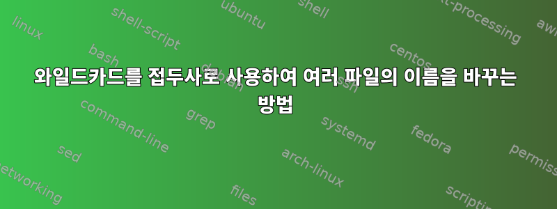 와일드카드를 접두사로 사용하여 여러 파일의 이름을 바꾸는 방법