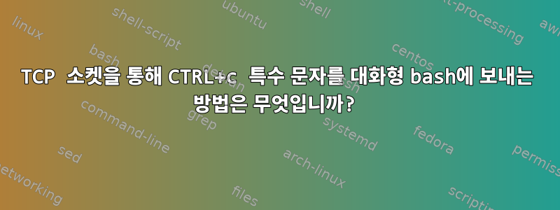 TCP 소켓을 통해 CTRL+c 특수 문자를 대화형 bash에 보내는 방법은 무엇입니까?