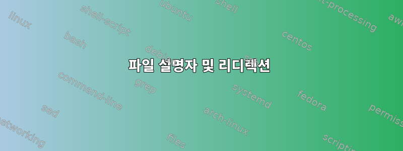 파일 설명자 및 리디렉션