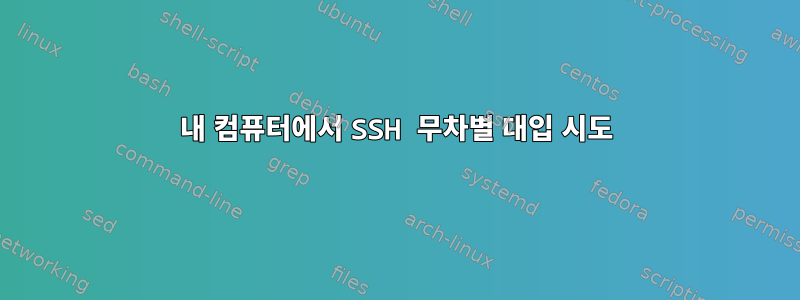 내 컴퓨터에서 SSH 무차별 대입 시도