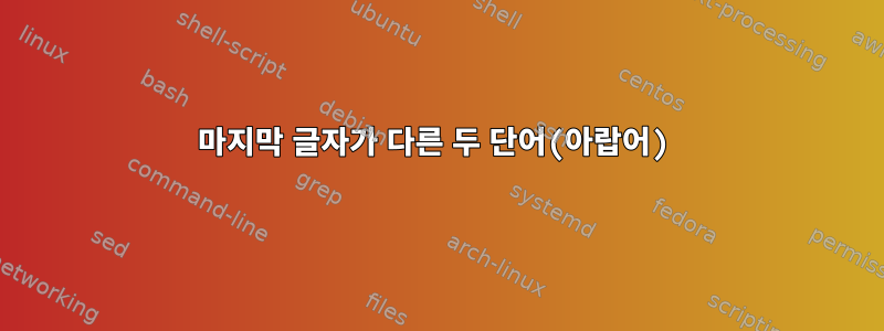 마지막 글자가 다른 두 단어(아랍어)