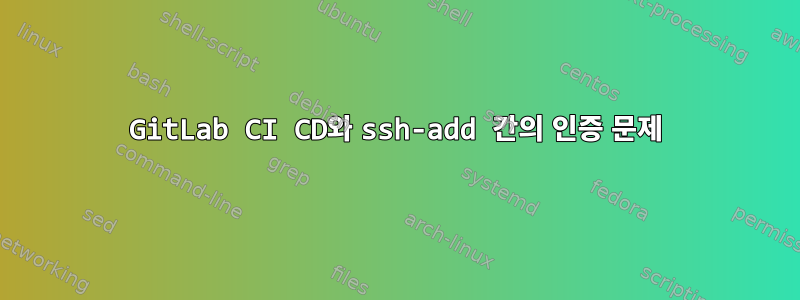 GitLab CI CD와 ssh-add 간의 인증 문제