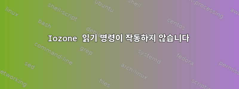 Iozone 읽기 명령이 작동하지 않습니다