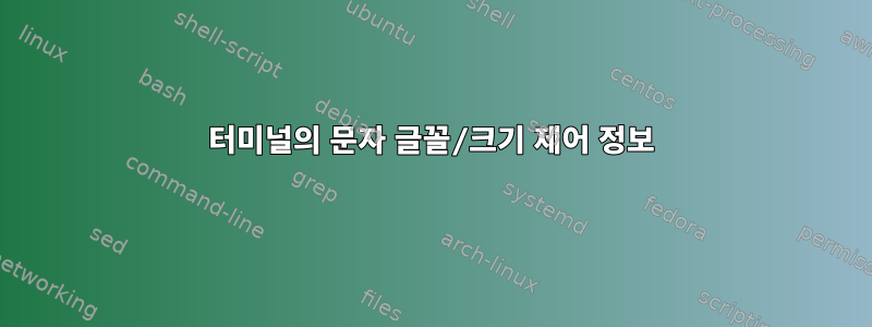 터미널의 문자 글꼴/크기 제어 정보