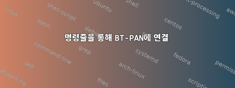 명령줄을 통해 BT-PAN에 연결