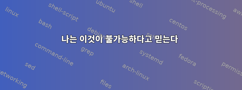 나는 이것이 불가능하다고 믿는다