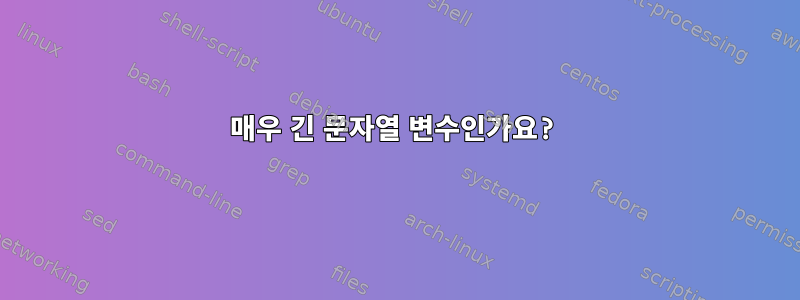 매우 긴 문자열 변수인가요?