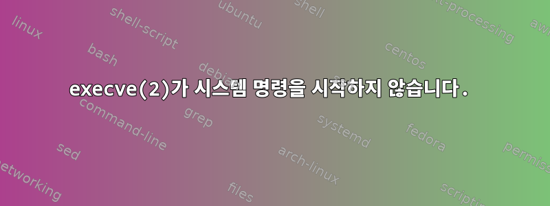 execve(2)가 시스템 명령을 시작하지 않습니다.