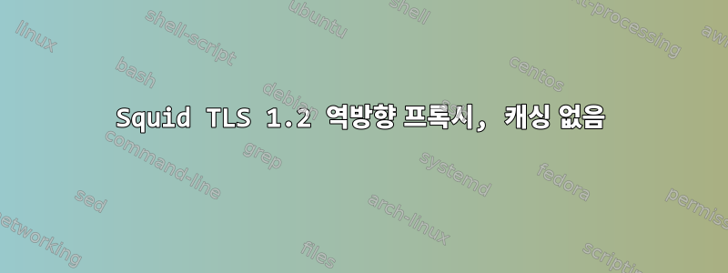 Squid TLS 1.2 역방향 프록시, 캐싱 없음