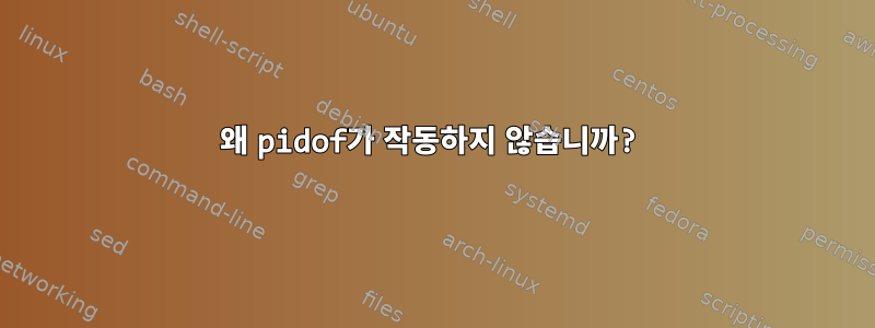 왜 pidof가 작동하지 않습니까?