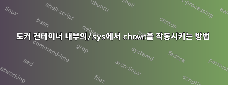 도커 컨테이너 내부의/sys에서 chown을 작동시키는 방법