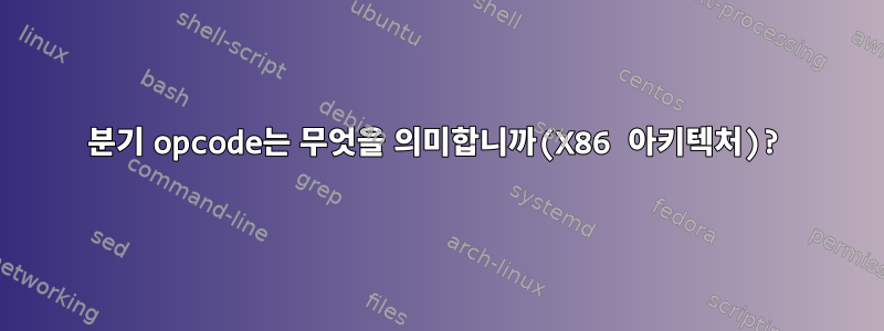 분기 opcode는 무엇을 의미합니까(X86 아키텍처)?