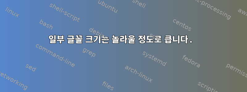 일부 글꼴 크기는 놀라울 정도로 큽니다.