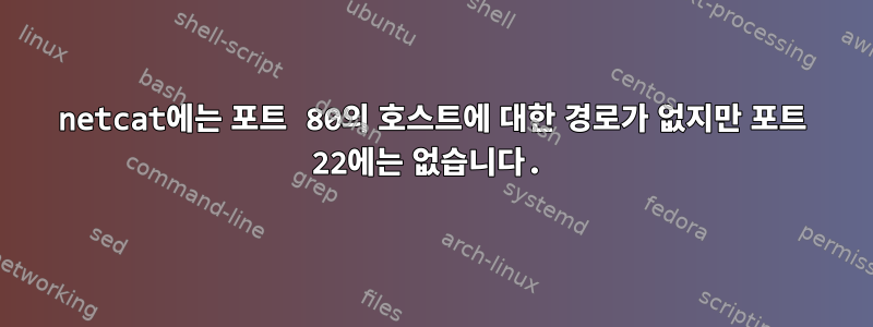 netcat에는 포트 80의 호스트에 대한 경로가 없지만 포트 22에는 없습니다.