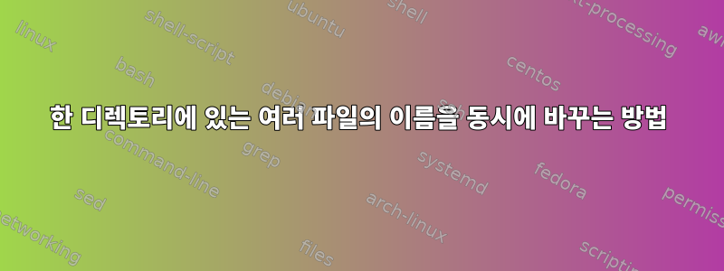 한 디렉토리에 있는 여러 파일의 이름을 동시에 바꾸는 방법