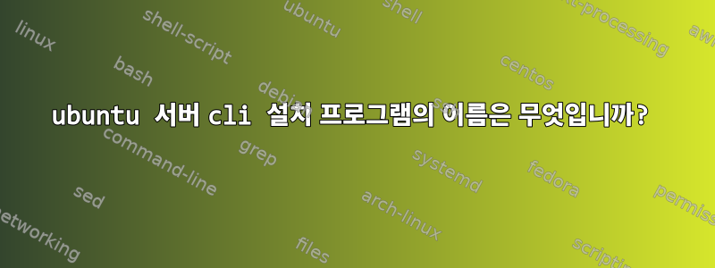 ubuntu 서버 cli 설치 프로그램의 이름은 무엇입니까?