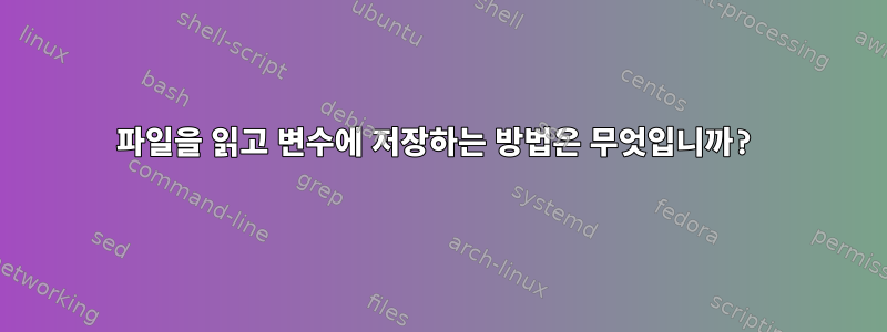 파일을 읽고 변수에 저장하는 방법은 무엇입니까?