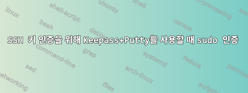 SSH 키 인증을 위해 Keepass+Putty를 사용할 때 sudo 인증