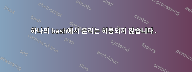 하나의 bash에서 분리는 허용되지 않습니다.