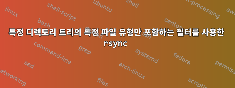 특정 디렉토리 트리의 특정 파일 유형만 포함하는 필터를 사용한 rsync