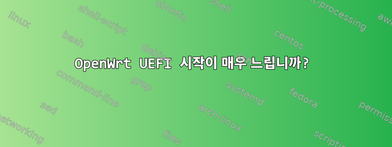 OpenWrt UEFI 시작이 매우 느립니까?