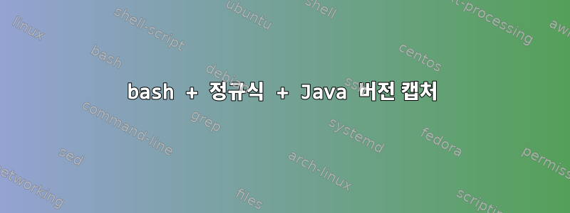 bash + 정규식 + Java 버전 캡처