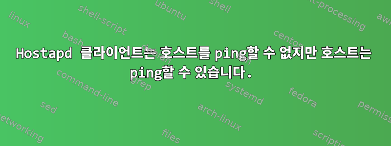 Hostapd 클라이언트는 호스트를 ping할 수 없지만 호스트는 ping할 수 있습니다.