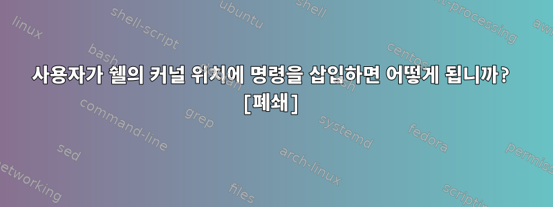 사용자가 쉘의 커널 위치에 명령을 삽입하면 어떻게 됩니까? [폐쇄]