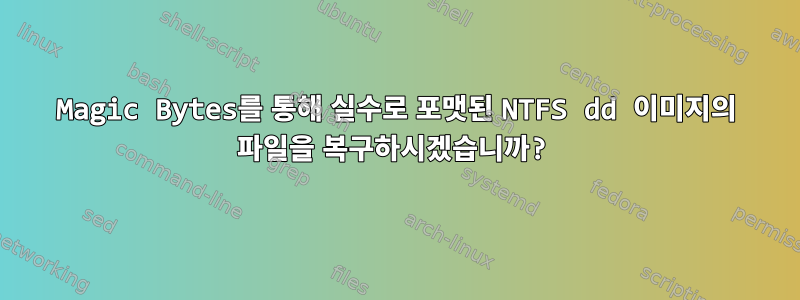 Magic Bytes를 통해 실수로 포맷된 NTFS dd 이미지의 파일을 복구하시겠습니까?