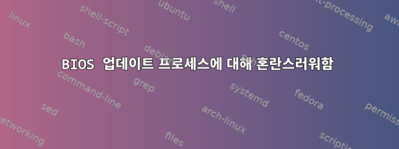 BIOS 업데이트 프로세스에 대해 혼란스러워함