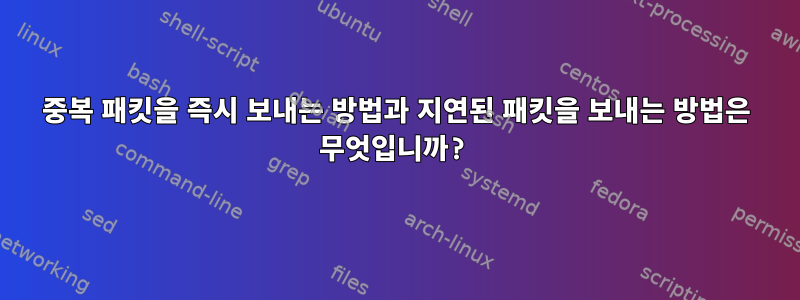 중복 패킷을 즉시 보내는 방법과 지연된 패킷을 보내는 방법은 무엇입니까?