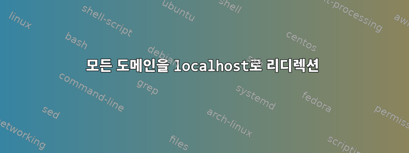 모든 도메인을 localhost로 리디렉션