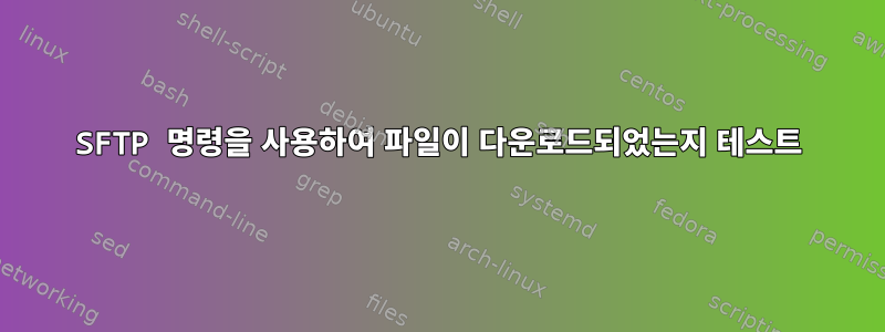 SFTP 명령을 사용하여 파일이 다운로드되었는지 테스트