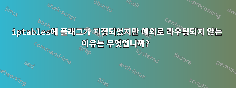 iptables에 플래그가 지정되었지만 예외로 라우팅되지 않는 이유는 무엇입니까?