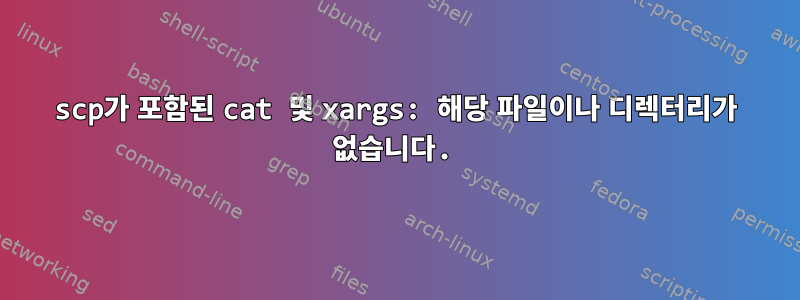 scp가 포함된 cat 및 xargs: 해당 파일이나 디렉터리가 없습니다.