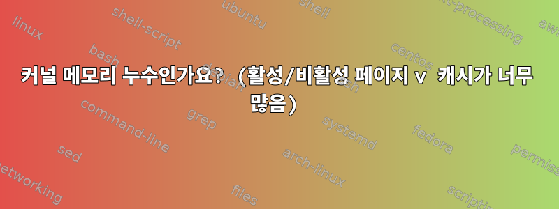 커널 메모리 누수인가요? (활성/비활성 페이지 v 캐시가 너무 많음)