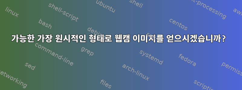 가능한 가장 원시적인 형태로 웹캠 이미지를 얻으시겠습니까?