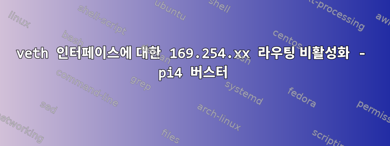 veth 인터페이스에 대한 169.254.xx 라우팅 비활성화 - pi4 버스터