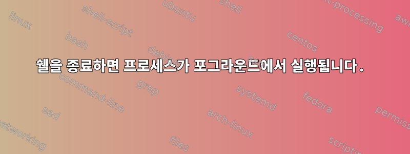 쉘을 종료하면 프로세스가 포그라운드에서 실행됩니다.